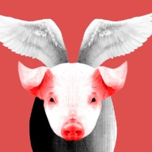 El Hueco Oxma acoge a emprendedores del Hub Madrid interesados en el problema de de la despoblación rural