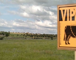 Este sábado se presenta en El Hueco #kedarte2013