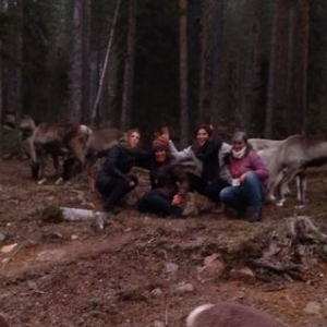 El proyecto Laponias Conectadas llega a su fin tras doce meses de intercambios de experiencias entre emprendedores de Soria, Teruel y Finlandia