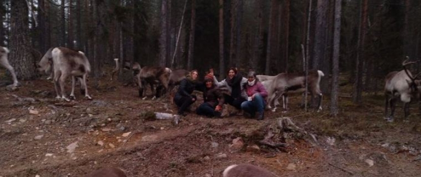 El proyecto Laponias Conectadas llega a su fin tras doce meses de intercambios de experiencias entre emprendedores de Soria, Teruel y Finlandia