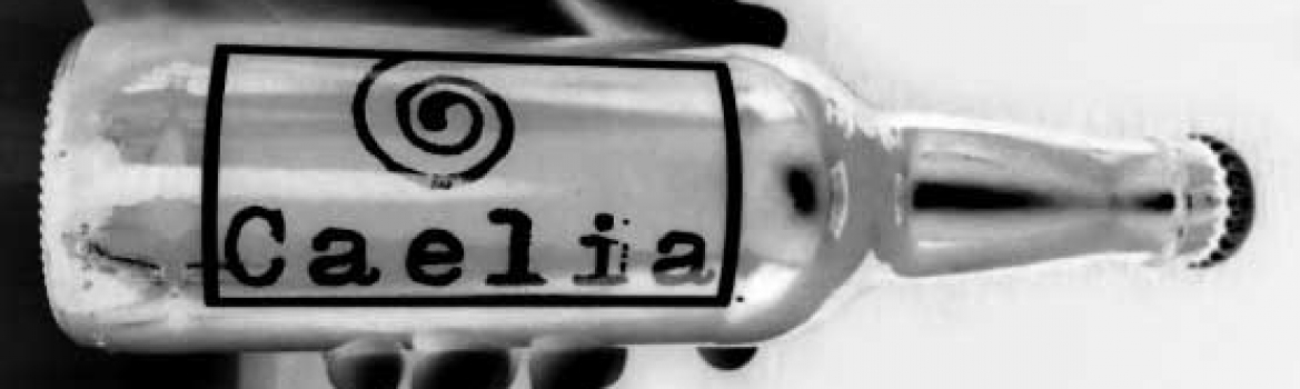Esta tarde, Supermartes de cerveza con Caelia y Marcos Sanz