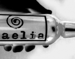 Esta tarde, Supermartes de cerveza con Caelia y Marcos Sanz