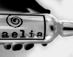 19 de Febrero: Cerveza Caelia