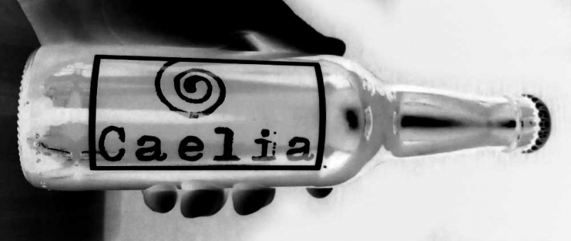 19 de Febrero: Cerveza Caelia