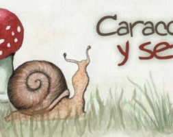 Caracoles Sorianos y Setas Tierra Llana, esta tarde en los Supermartes de El Hueco