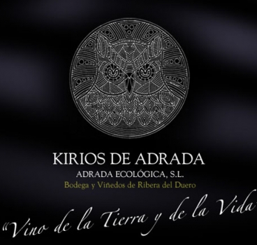 20 de Noviembre: Jesús Lázaro