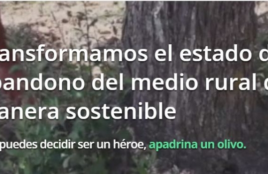 El proyecto turolense ‘Apadrina un olivo’ abrirá la jornada de innovación en El Burgo