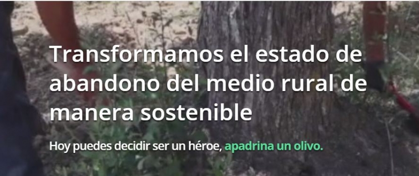 El proyecto turolense ‘Apadrina un olivo’ abrirá la jornada de innovación en El Burgo