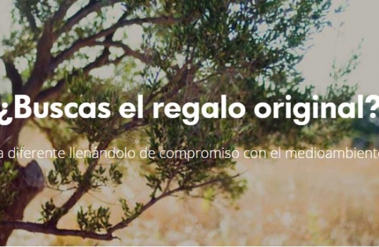 El Hueco abre el nuevo curso con una jornada sobre innovación en El Burgo de osma